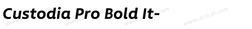 Custodia Pro Bold It字体转换